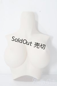 DD/上半身パーツ:L胸 A-25-12-03-1069-TN-ZU