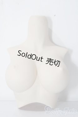 画像1: DD/上半身パーツ:L胸 A-25-12-03-1069-TN-ZU