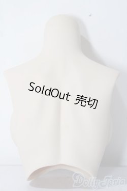 画像2: DD/上半身パーツ:L胸 A-25-12-03-1069-TN-ZU