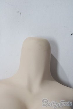 画像3: DD/上半身パーツ:L胸 A-25-12-03-1069-TN-ZU