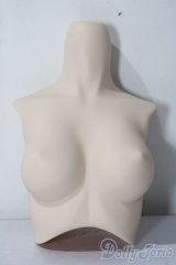 DD/上半身パーツ A-25-12-03-1068-TN-ZU