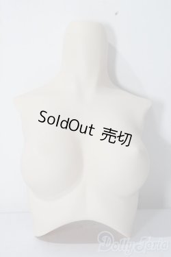 画像1: DD/上半身パーツ A-25-12-03-1068-TN-ZU