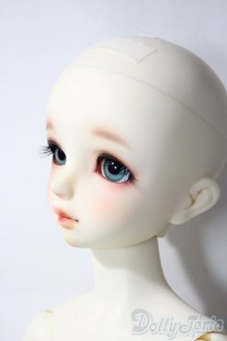 画像5: SD女の子/ワンオフF-95きのこ様 U-25-12-03-216-TN-ZU