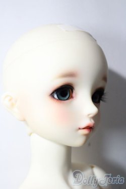 画像6: SD女の子/ワンオフF-95きのこ様 U-25-12-03-216-TN-ZU