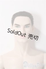 Fashion Royalty/本体のみ/その他/doll A-25-12-17-1087-TN-ZU