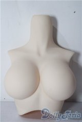 DD/上半身パーツ:L胸 A-25-12-10-1058-TN-ZU