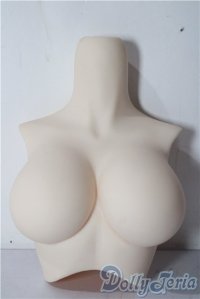 DD/上半身パーツ:L胸 A-25-12-10-1058-TN-ZU