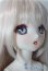 画像3: MDD/カスタムドールセット(DDH-10ヘッド+MDD(DD-f3)ボディ) A-25-12-17-1097-TN-ZU (3)