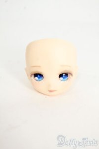 DOLLCE/DC11-04 ヘッド Y-25-12-24-239-TN-ZY