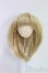 画像1: 3.5inch-4inch/ウィッグ/インチ　BJD　MJD　ドール用 I-25-12-21-029-TN-ZI (1)