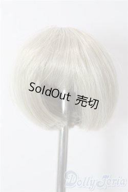 画像1: 3.5inch-4inch/ウィッグ A-25-12-17-1055-TN-ZU