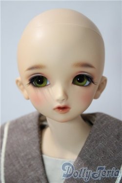 画像2: SDM/F-33:コーディネートモデル U-25-12-17-216-TN-ZU