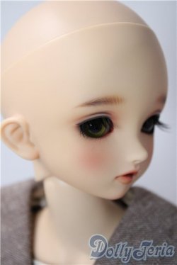 画像3: SDM/F-33:コーディネートモデル U-25-12-17-216-TN-ZU