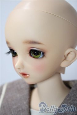 画像4: SDM/F-33:コーディネートモデル U-25-12-17-216-TN-ZU