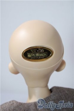 画像5: SDM/F-33:コーディネートモデル U-25-12-17-216-TN-ZU