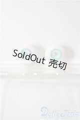 14mm/レジンアイ　Labo. 様製 U-25-12-24-022-TN-ZU