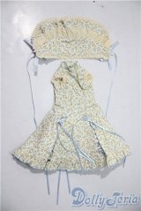 SDM＆MSD/OF:ワンピース U-25-12-17-169-TN-ZU