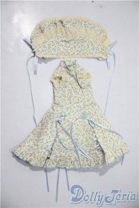 SDM＆MSD/OF:ワンピース U-25-12-17-169-TN-ZU