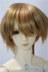 SDGｒBOY/フルチョイス：SD-F-49 U-25-12-17-218-TN-ZU