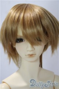 SDGｒBOY/フルチョイス：SD-F-49 U-25-12-17-218-TN-ZU