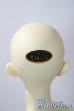 画像5: SDGｒBOY/フルチョイス：SD-F-49 U-25-12-17-218-TN-ZU