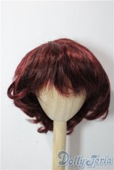 9-10inch/ウィッグ U-25-12-24-021-TN-ZU