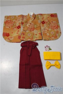 画像1: SDM＆MSD/OF:衣装セット U-25-12-24-197-TN-ZU