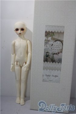 画像7: SDM男の子/コーディネートモデルF-35 U-25-12-24-216-TN-ZU