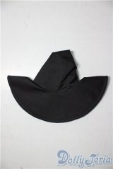 SD/OF:ウィザーハット U-25-12-24-068-TN-ZU