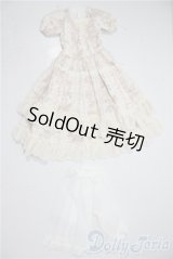 SDM＆MSD/OF:ワンピース U-25-12-24-112-TN-ZU