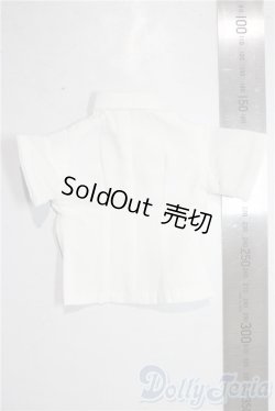 画像2: SDM&MSD/OF:トップス U-25-12-24-133-TN-ZU