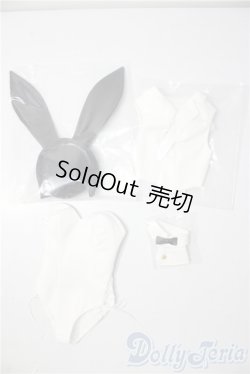 画像1: DD/OF:バニースーツセット A-26-01-07-1045-TN-ZU