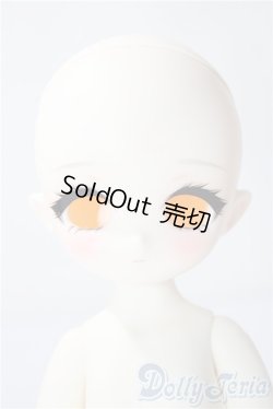 画像1: TinyFox/Robin{Ode} 聖歌小鳥 オディ A-26-01-07-1098-TN-ZU