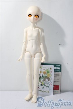 画像6: tinyfox/ニシキゴイの精霊 鯉春 A-26-01-07-1093-TN-ZU