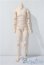画像1: 1/6男子/ボディ A-26-01-14-1061-TN-ZU (1)