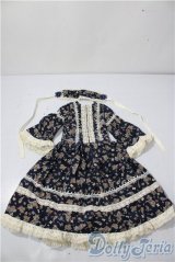 SD16/OF:ドレス U-26-01-07-162-TN-ZU