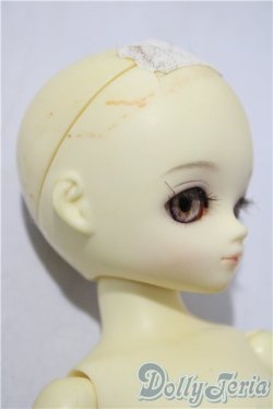 画像3: LEEKEWORLD/Honey A-26-01-14-1099-TN-ZU