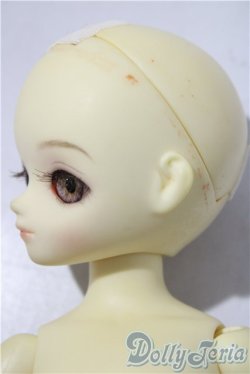 画像4: LEEKEWORLD/Honey A-26-01-14-1099-TN-ZU