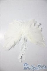 SDM＆MSD/OF:小物 U-26-01-07-186-TN-ZU