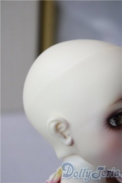 画像9: SDM女の子/ワンオフF-54（ciera様） U-26-01-07-216-TN-ZU