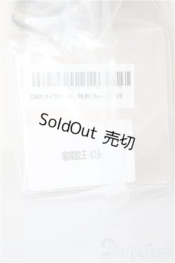画像3: TinyFox/カスタマイズ CB-01メイクヘッドにゃんこロ宗主/BJD　球体関節人形 A-26-01-21-126-TN-ZA