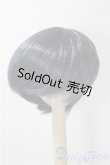 9-10inch/ウィッグ U-26-01-14-115-TN-ZU