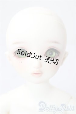 画像3: SDM女の子/ちよ 10周年記念Ver. U-26-01-14-214-TN-ZU