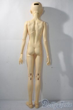 画像5: AKAGIDOLL/御衡/ A-26-01-21-1050-TN-ZU