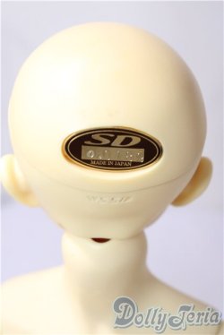 画像5: SD13男の子/教室Aヘッド U-26-01-28-220-TN-ZU
