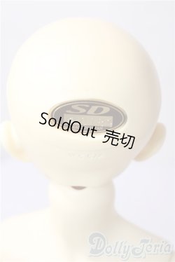 画像5: SD13男の子/教室Aヘッド U-26-01-28-220-TN-ZU