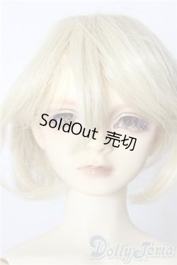 画像1: SD13男の子/ワンオフルカciera様 U-26-01-28-211-TN-ZU