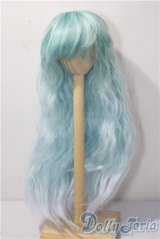 9-10inch/ウィッグ U-26-01-21-081-TN-ZU