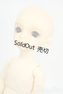 画像3: 幼SD/鈴菜 Y-26-01-21-264-TN-ZY