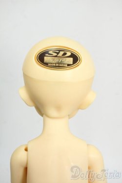 画像5: 幼SD/鈴菜 Y-26-01-21-264-TN-ZY